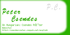 peter csendes business card